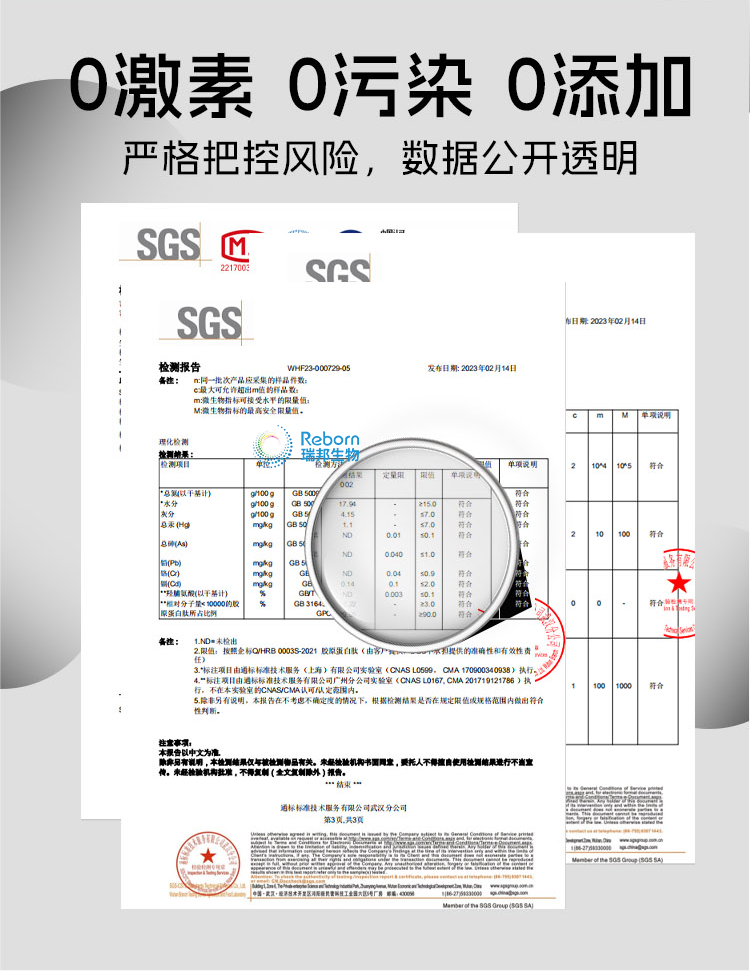 1705310104527531.png 魚詳情09.png