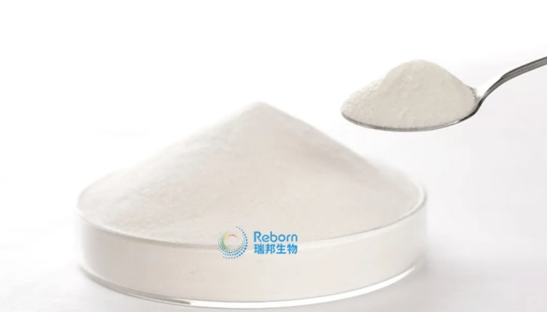 1711693190271594.jpg 640.webp.jpg